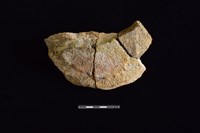 陶片藏品圖，第1張